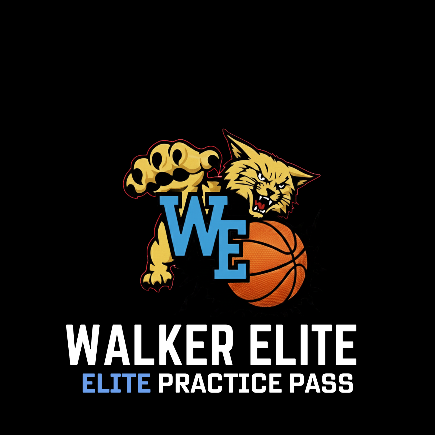 Elite Practice Pass